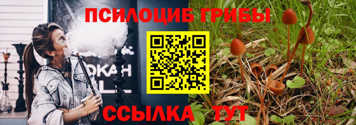 Псилоцибиновые грибы прущие грибы  Галлюциногенные грибы мицелий  Вход с VPN  Чайковский 